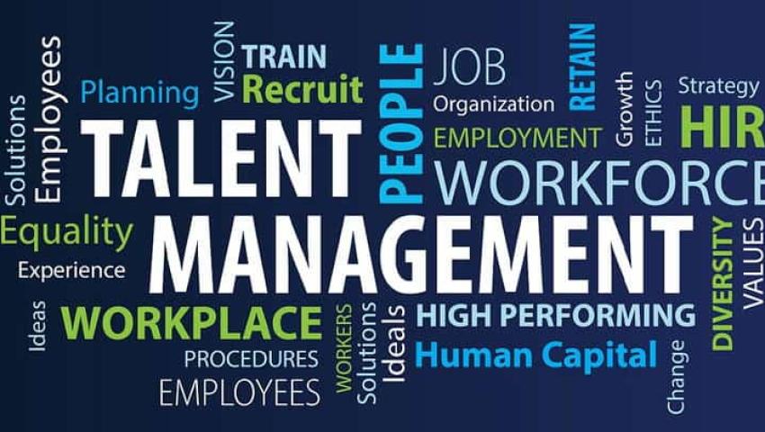 Talent Development & Management